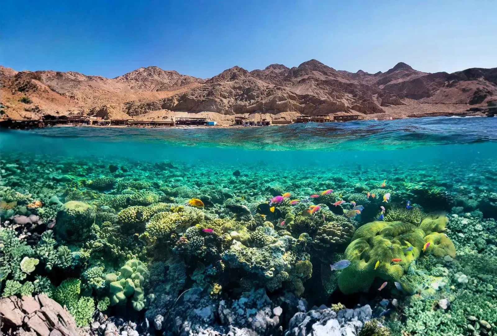 Dahab
