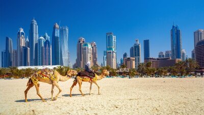 Dubai: Standard studio with flight and all inclusive