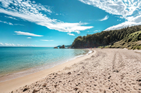 Halkidiki — plaje, pini și ape turcoaz